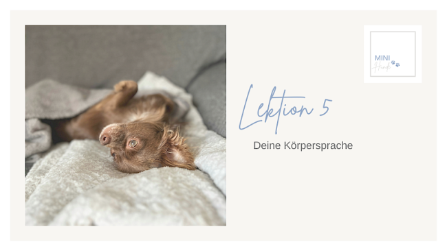 Lektion 5: Deine Körpersprache