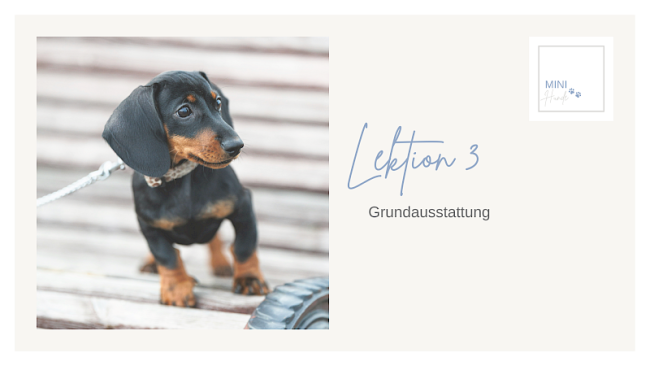 Lektion 3: Grundausstattung