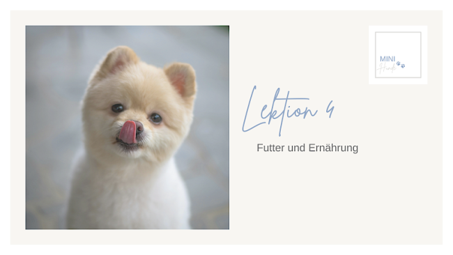Lektion 4: Futter und Ernährung