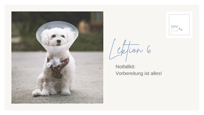 Lektion 6: Notfallkit: Vorbereitung ist alles!
