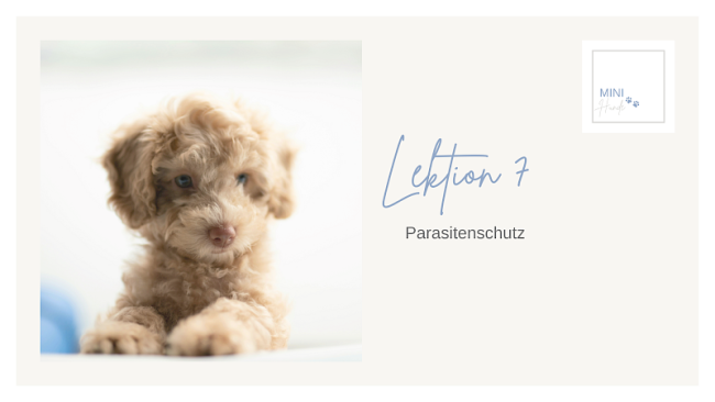 Lektion 7: Parasitenschutz