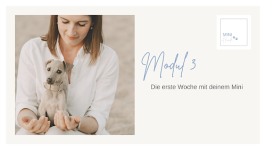 Modul 3: Die erste Woche mit deinem Mini