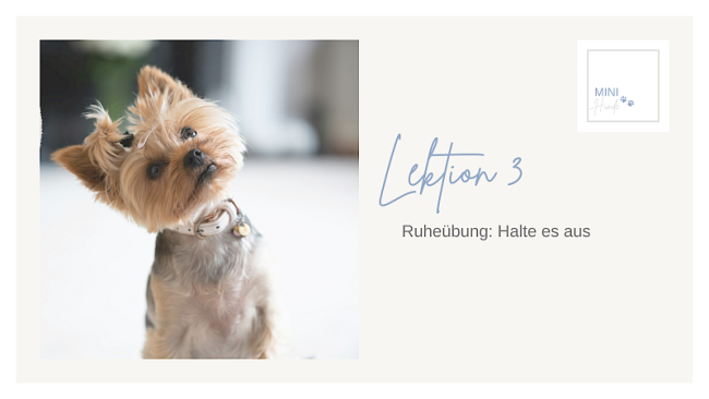 Lektion 3: Ruheübung: Halte es aus