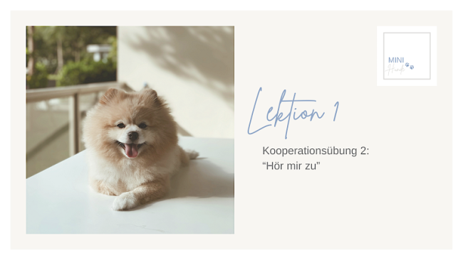 Lektion 1: Kooperationsübung 2: "Hör mir zu"