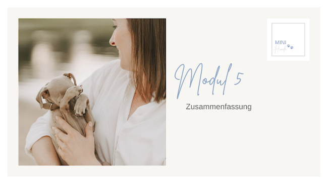 Zusammenfassung