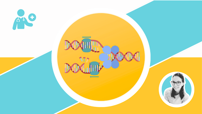 DNA-Replikation