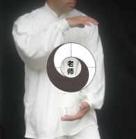 Lehrer Taijiquan