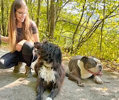 Hundetrainerausbildung