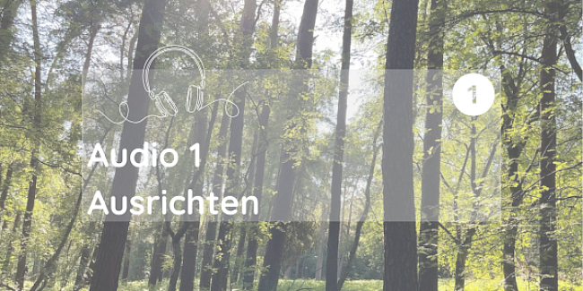 1 - Dein Audio to Go/Ausrichten
