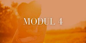 Die Wechselwirkung eurer Energien