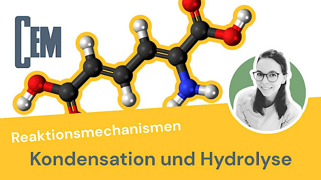 Kondensation und Hydrolyse