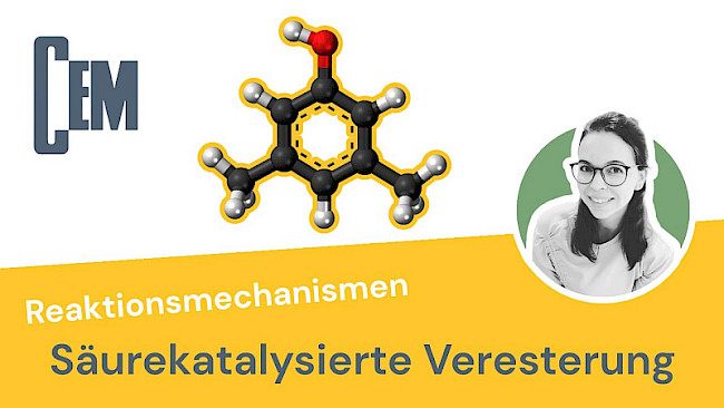 Säurekatalysierte Veresterung