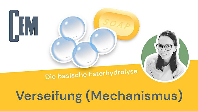 Basische Esterspaltung (Verseifung)