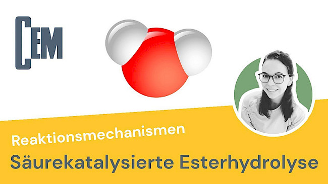 Saure Esterhydrolyse