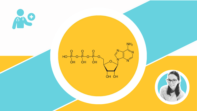 Nukleotide