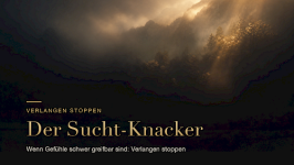 DER Naschverlangen-KNACKER - Wenn Gefühle schwer greifbar sind: Verlangen verstehen & stoppen