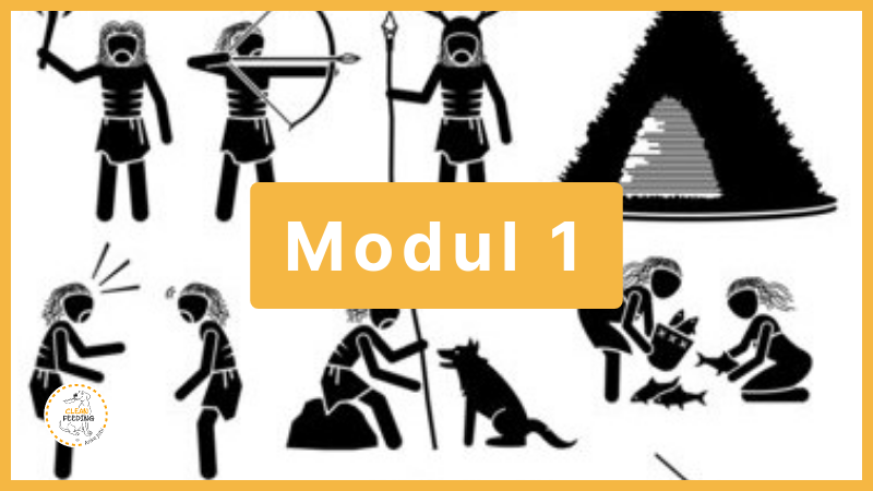 modul_1.1771860093.png