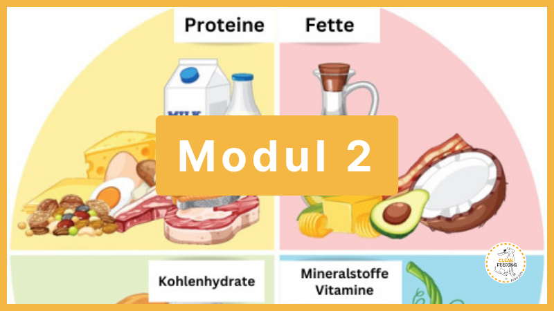 modul_2.1771860181.png