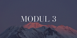 Geld, Werte & Wirksamkeit