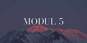 Ahnenlinie, Herkunft & Geld