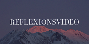 Reflexionsvideo (nach 2 Wochen)