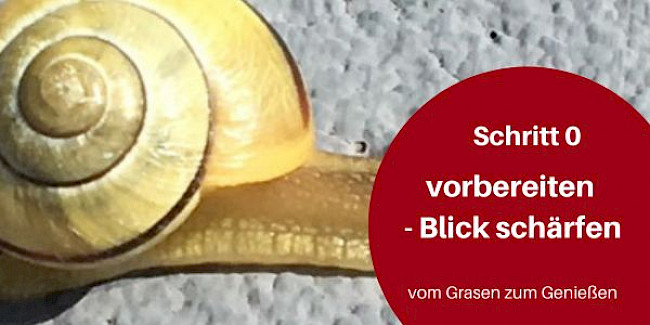 Schritt 0: gut hinschauen, gut geplant verändern
