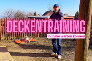 Deckentraining