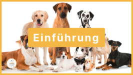🚩 Startmodul - Einführung