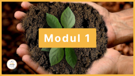 Modul 1 - Nachhaltigkeit