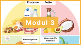 Modul 3 - Die Nährstoffe