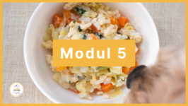 Modul 5 - Rationsgestaltung