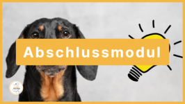 🎓 Abschlussmodul - Material etc.