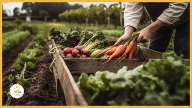 Lektion 2 - Herkunft der Nahrungsmittel