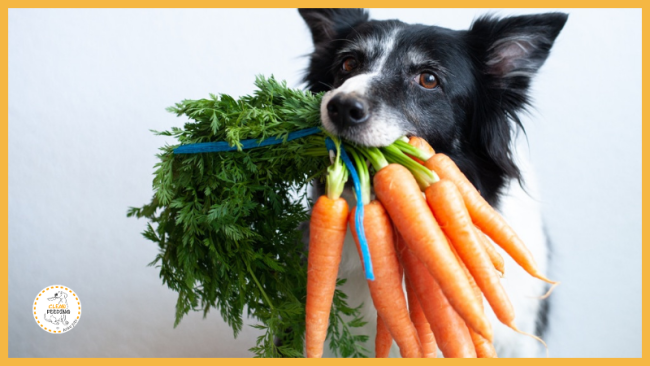 Lektion 1 - Überblick