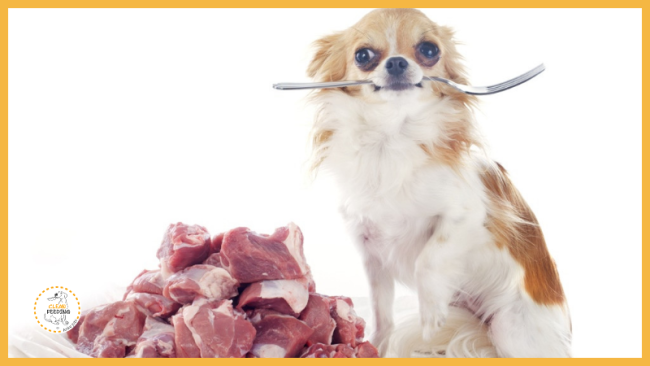 Lektion 2 - Proteine