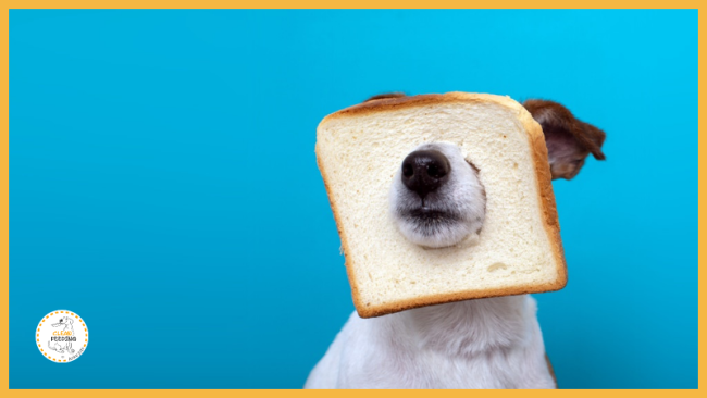 Lektion 4 - Kohlenhydrate