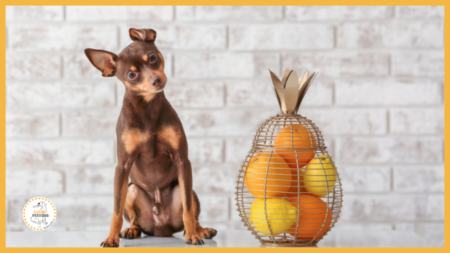 Lektion 5 - Vitamine