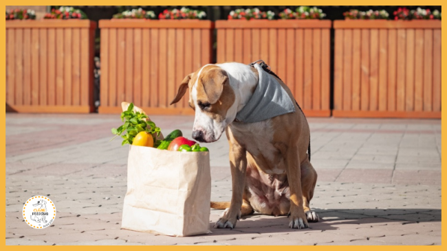 Lektion 1 - Fütterungspraxis und Futtermittelkunde