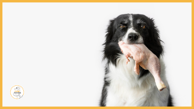 Lektion 2 - Tierische Nahrungsmittel