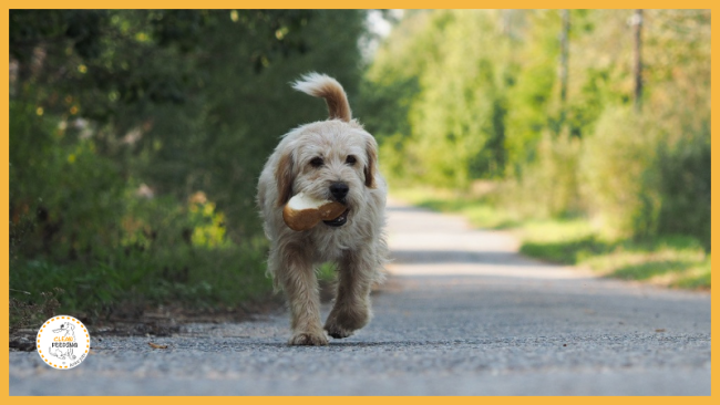 Lektion 4 - Getreide und Co