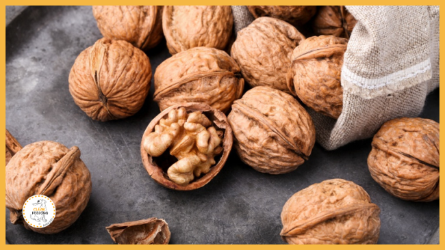 Lektion 5 - Nüsse und Samen