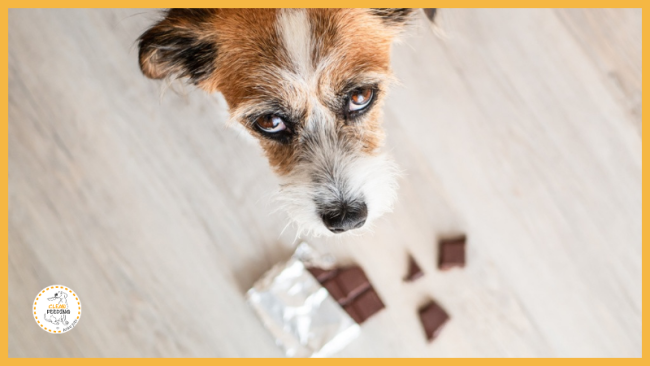 Lektion 7 - Sonstiges