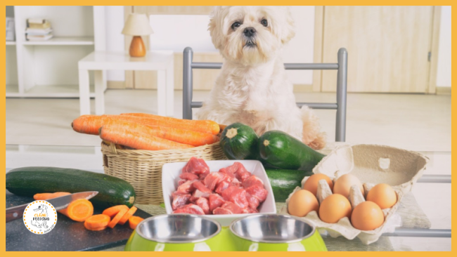 Lektion 2 - Aufteilung der Rationen