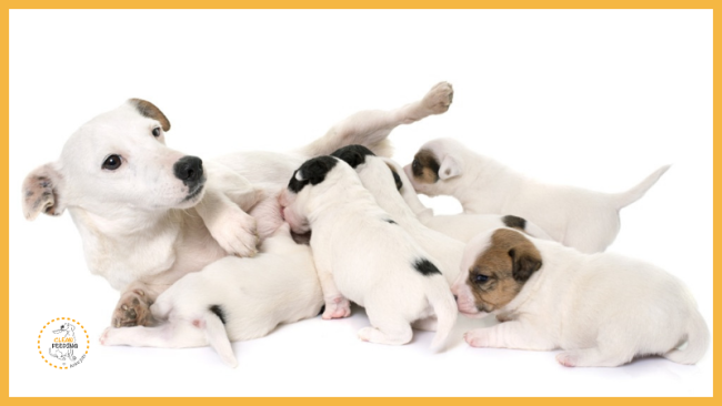 Lektion 1 - Einführung