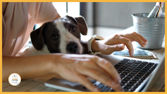 Lektion 3 - Teilnahmebescheinigung anfordern