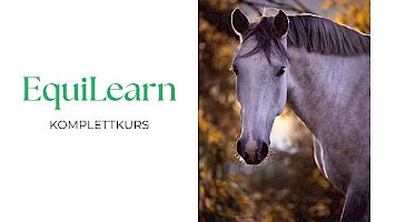 EquiLearn - Lernen verstehen, Pferde erfolgreich trainieren