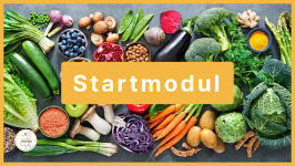 🚩 Startmodul - Grundlagen
