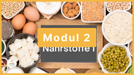 Modul 2 - Kritische Nährstoffe allgemein