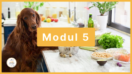 Modul 5 - Rationsgestaltung