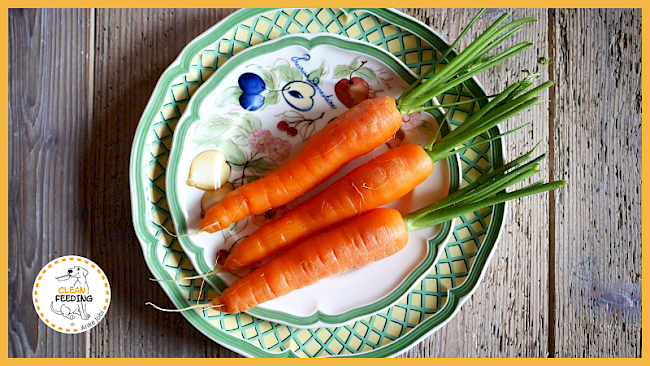 Lektion 2 - Verschiedene Formen der vegetarischen Ernährung